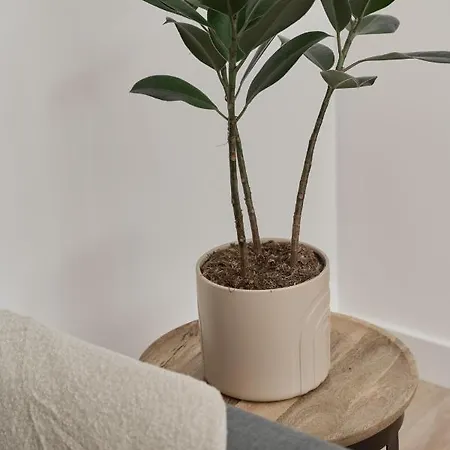 Lokum Vena With Parking By Renters